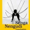 Top 10 😍 HIRMER Senga Nengudi :Topologies 🧨