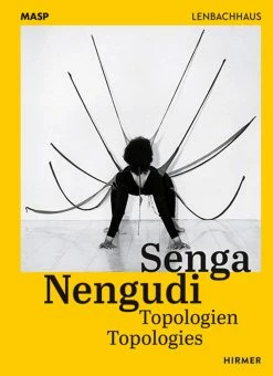 Top 10 😍 HIRMER Senga Nengudi :Topologies 🧨