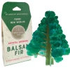 Coupon 🌟 Copernicus Crystal Growing Balsam Fir 🛒