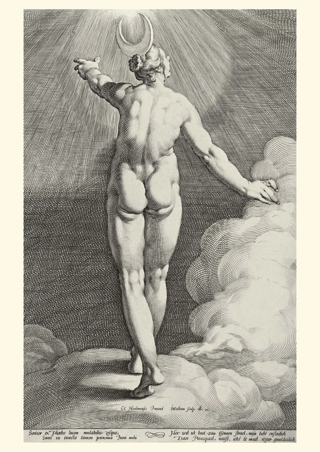 Coupon π Hammer Museum DDTM Postcard Jacob Matham Diana as Luna β¨