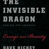 Best Sale 😀 University of Chicago Press The Invisible Dragon: Essays on Beauty ⭐