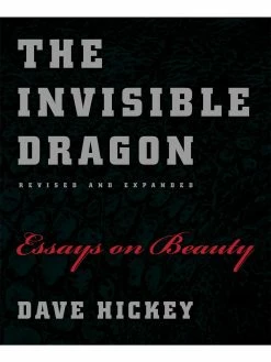 Best Sale 😀 University of Chicago Press The Invisible Dragon: Essays on Beauty ⭐