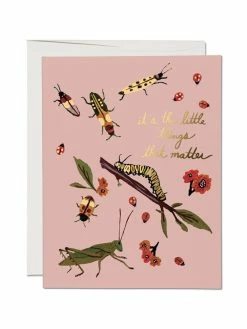 Best deal 🛒 Red Cap Little Bugs Notecard 🥰