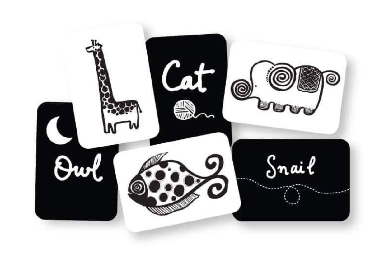 Coupon ⨠Wee Gallery Art Cards For Baby - Original Collection 𧨠- Image 2