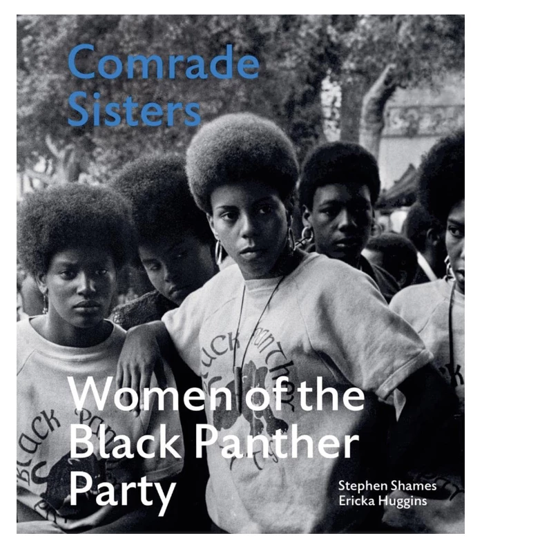 Buy β¨ NATIONAL BOOK NETWORK Comrade Sister π