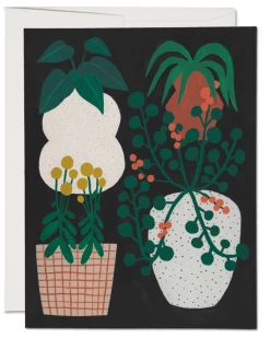 Flash Sale ✔️ Red Cap Indoor Plants Notecard 🧨