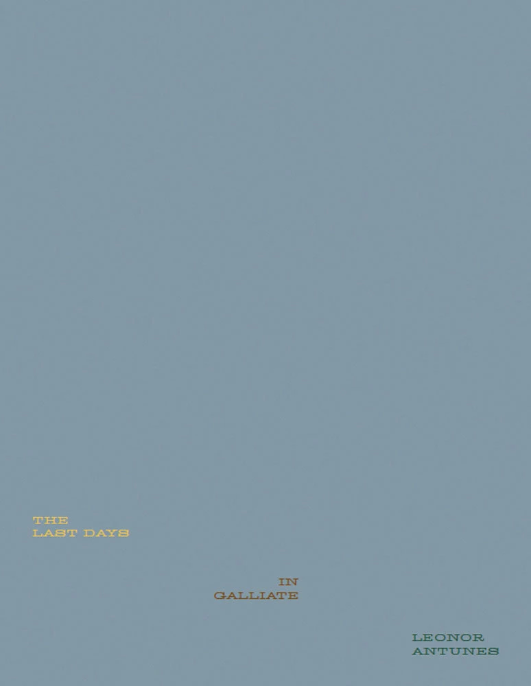 Wholesale β€οΈ SKIRA Leonor Antunes: The Last Days in Galliate π