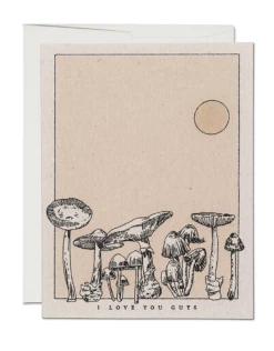 Brand new 🤩 Red Cap Mushroom I Love You Guys Notecard 😍
