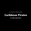 Best reviews of 🔔 Koenig Books Carribbean Pirates: 13 Video Projections ⭐
