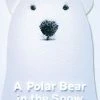 Wholesale ❤️ Candlewick Press A Polar Bear in the Snow ❤️