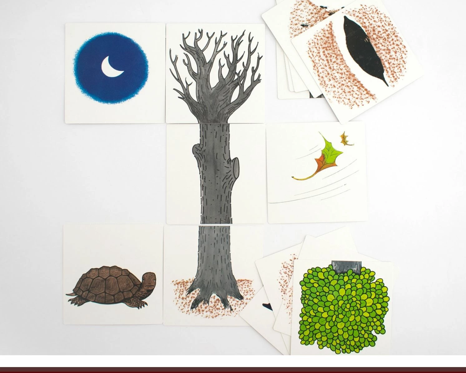 Best Sale π Corraini Edizioni Transformations β - Image 3