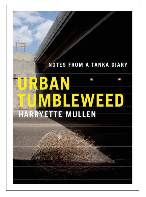 Cheapest π€© MPS Urban Tumbleweed β€οΈ